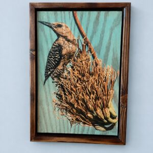 Gila Woodpecker