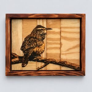 Cactus Wren